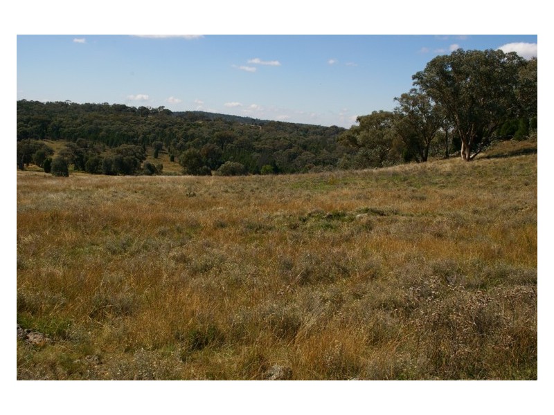 Lot 10,  Pipe Clay Road, Koorawatha NSW 2807