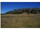 Lot 10,  Pipe Clay Road, Koorawatha NSW 2807