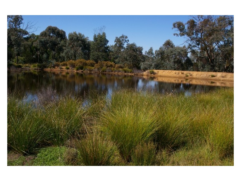 Lot 10,  Pipe Clay Road, Koorawatha NSW 2807