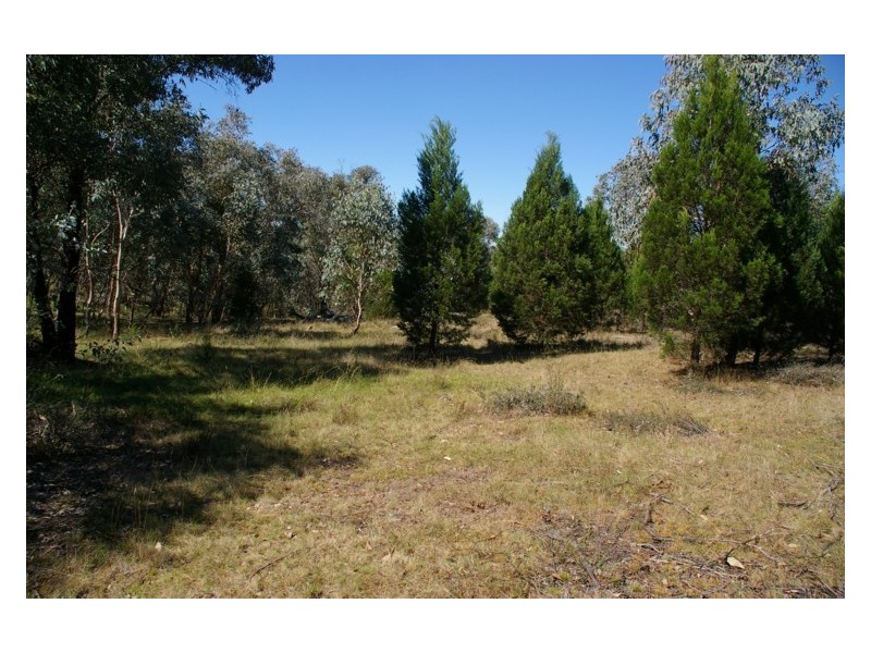 Lot 10,  Pipe Clay Road, Koorawatha NSW 2807