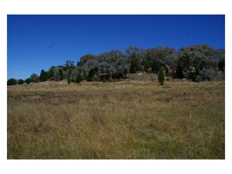 Lot 10,  Pipe Clay Road, Koorawatha NSW 2807