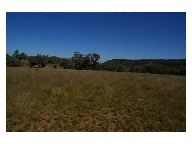 Lot 11,  Pipe Clay Road, Koorawatha NSW 2807