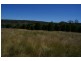 Lot 11,  Pipe Clay Road, Koorawatha NSW 2807