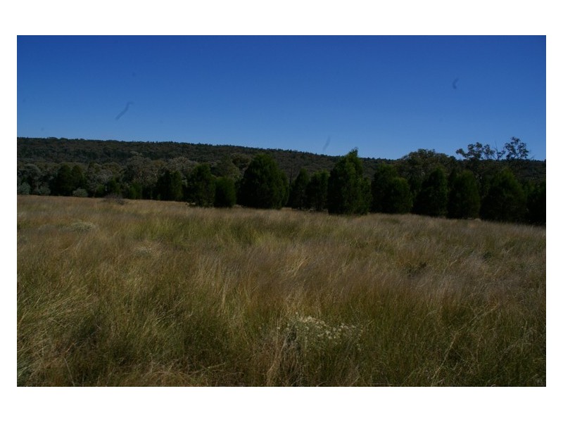 Lot 11,  Pipe Clay Road, Koorawatha NSW 2807