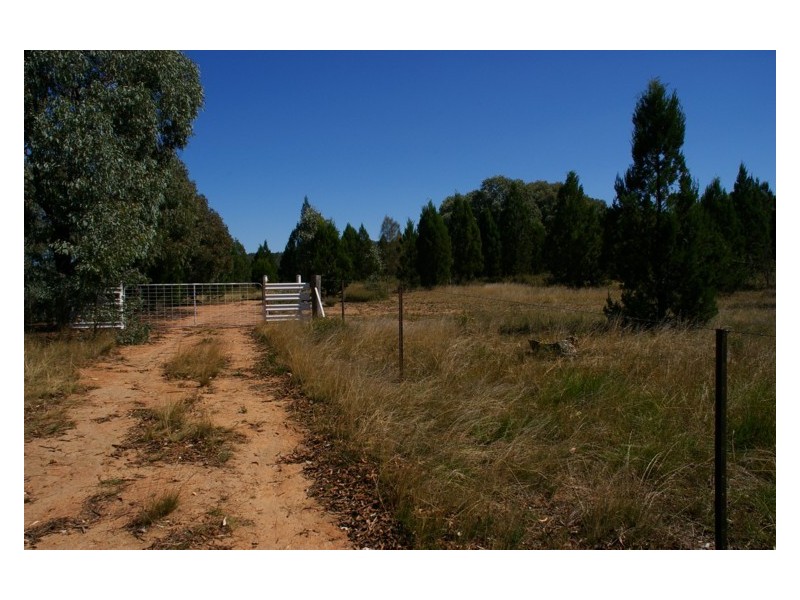 Lot 11,  Pipe Clay Road, Koorawatha NSW 2807