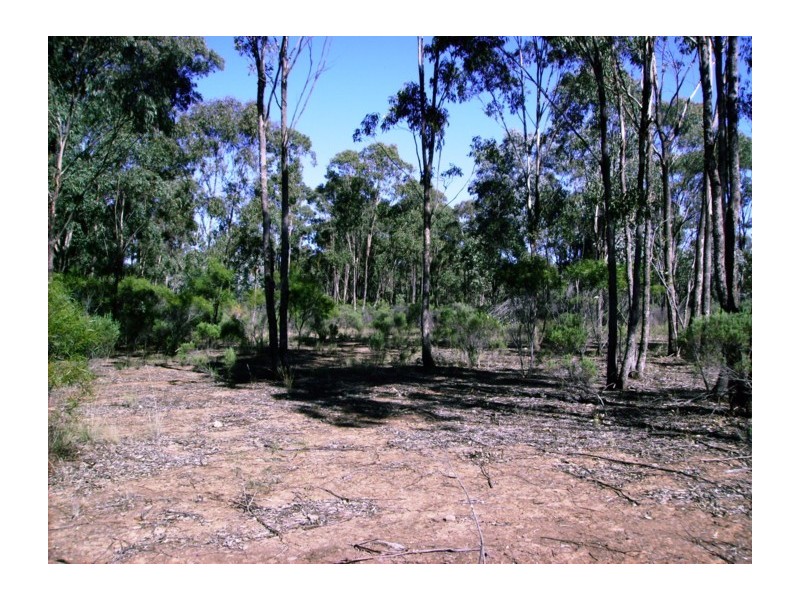 Lot 109,  Goodwins Lookout Road, Cowra NSW 2794