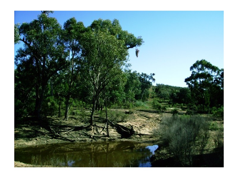 Lot 109,  Goodwins Lookout Road, Cowra NSW 2794