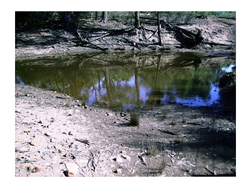 Lot 109,  Goodwins Lookout Road, Cowra NSW 2794