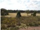 White Horse Road, Cowra NSW 2794