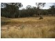 352A Horton Drive, Woodstock NSW 2793