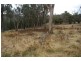 352A Horton Drive, Woodstock NSW 2793