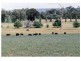 6406 Lachlan Valley Way, Cowra NSW 2794
