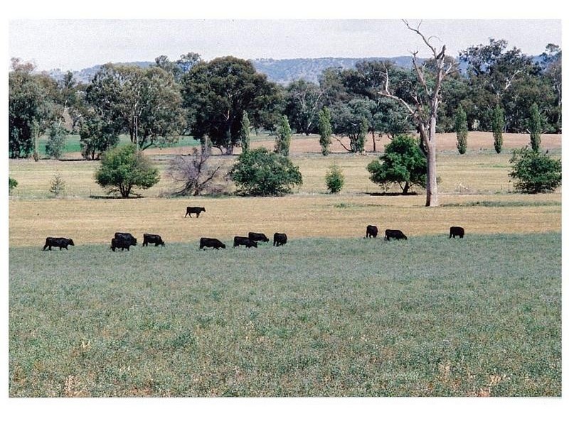 6406 Lachlan Valley Way, Cowra NSW 2794