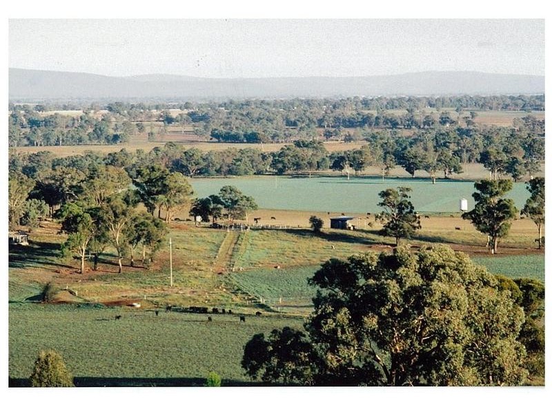 6406 Lachlan Valley Way, Cowra NSW 2794