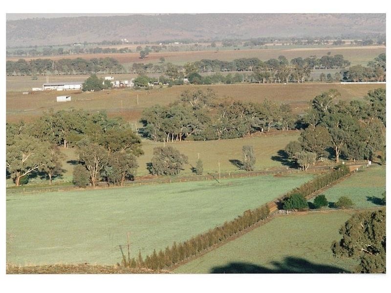 6406 Lachlan Valley Way, Cowra NSW 2794