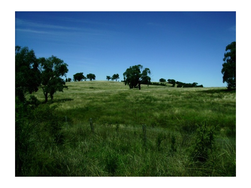 Mid Western Highway, Cowra NSW 2794