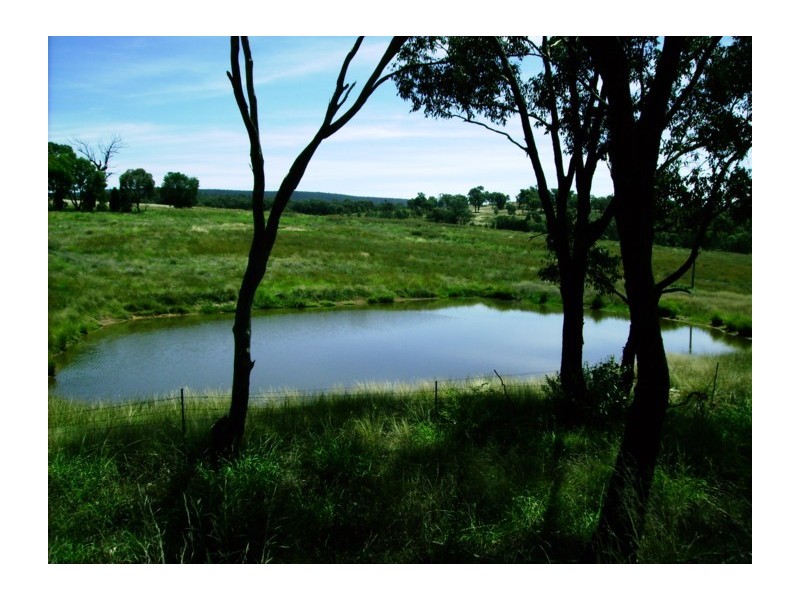 Mid Western Highway, Cowra NSW 2794