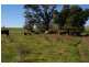 Lot 4,  Canowindra Road, Cowra NSW 2794