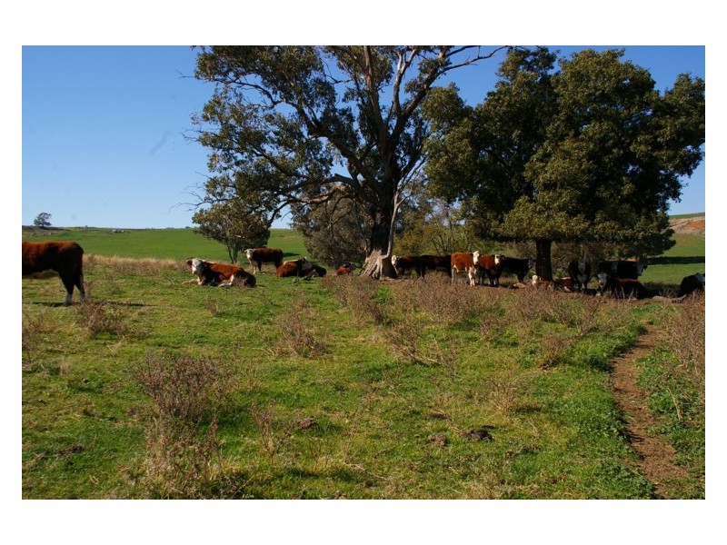 Lot 4,  Canowindra Road, Cowra NSW 2794