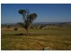 Lot 4,  Canowindra Road, Cowra NSW 2794