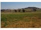 Canowindra Road, Cowra NSW 2794