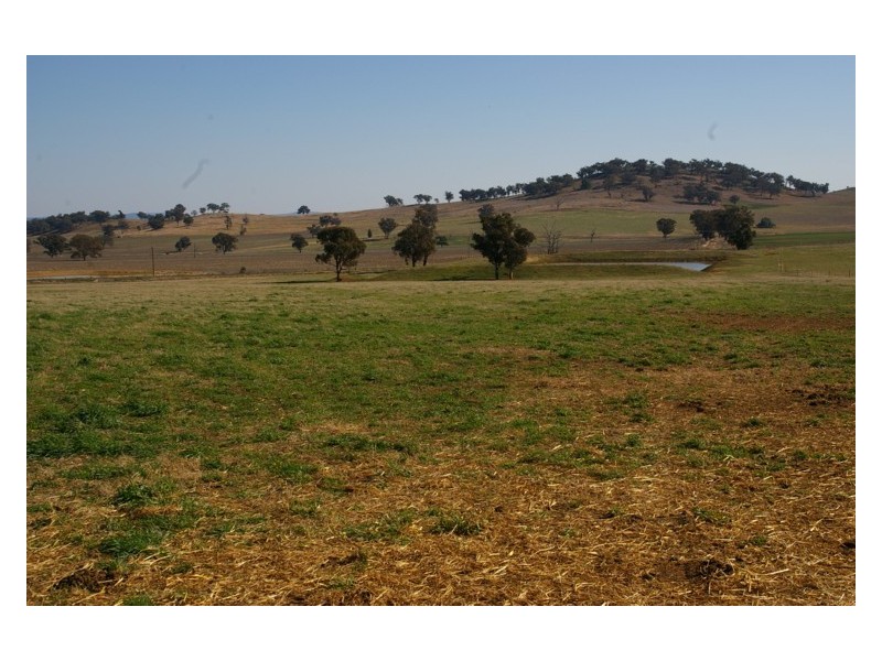 Canowindra Road, Cowra NSW 2794