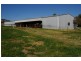Canowindra Road, Cowra NSW 2794