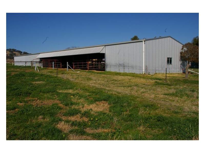 Canowindra Road, Cowra NSW 2794