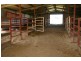 Canowindra Road, Cowra NSW 2794