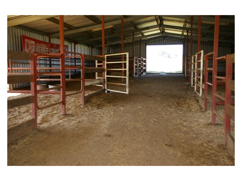 Canowindra Road, Cowra NSW 2794