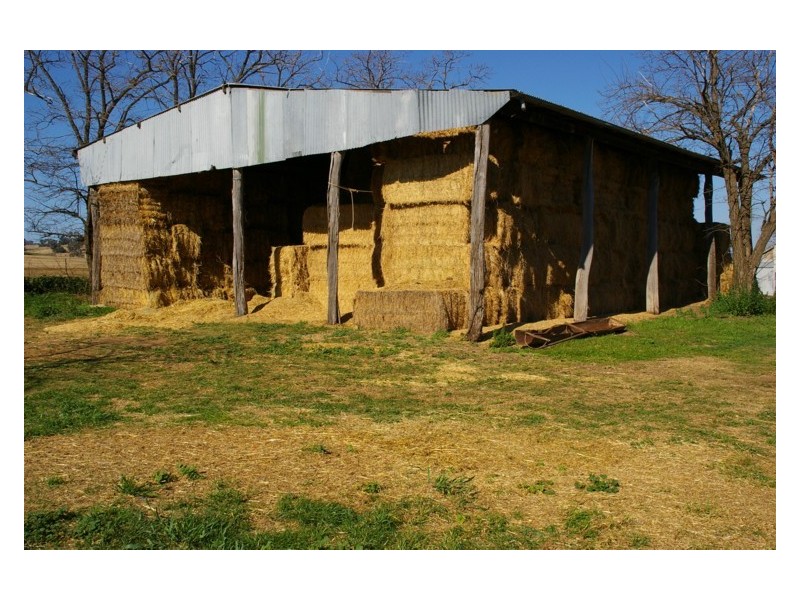 Canowindra Road, Cowra NSW 2794