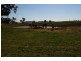 Canowindra Road, Cowra NSW 2794