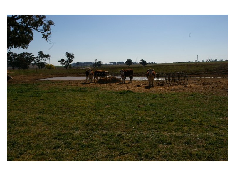 Canowindra Road, Cowra NSW 2794