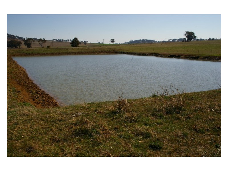 Canowindra Road, Cowra NSW 2794