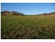 1934 Canowindra Road, Cowra NSW 2794