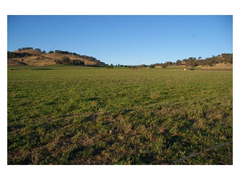 1934 Canowindra Road, Cowra NSW 2794