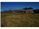 440 Kangarooby Road, Cowra NSW 2794