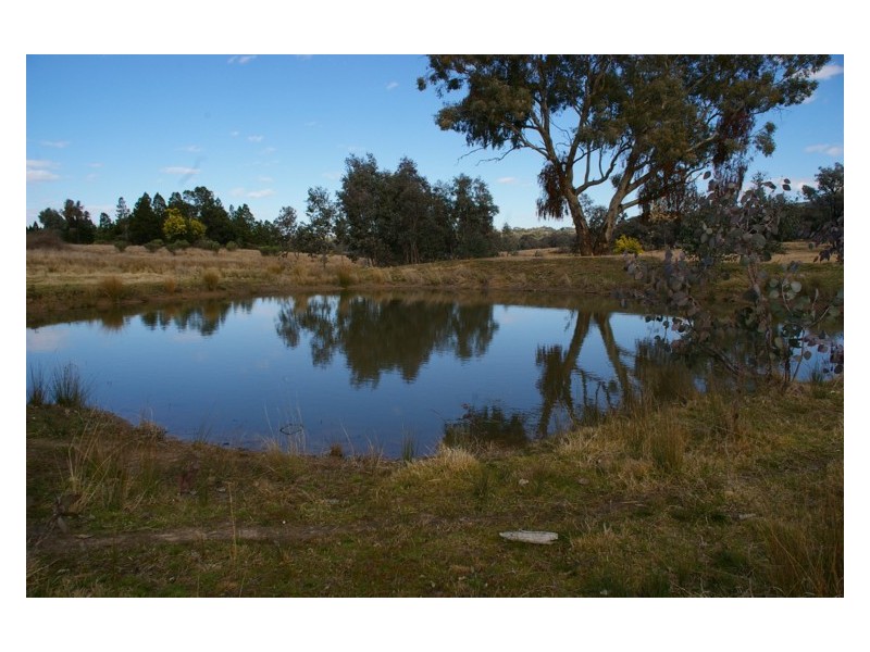 440 Kangarooby Road, Cowra NSW 2794