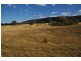 440 Kangarooby Road, Cowra NSW 2794