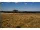 440 Kangarooby Road, Cowra NSW 2794