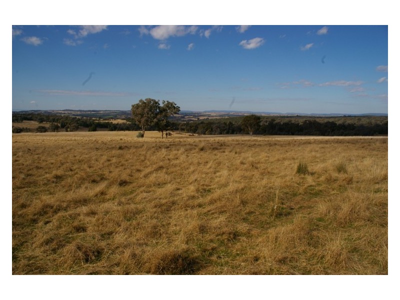 440 Kangarooby Road, Cowra NSW 2794