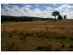 440 Kangarooby Road, Cowra NSW 2794
