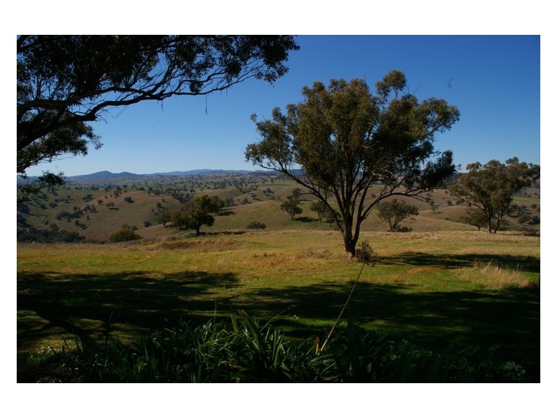 120 Wianamatta Road, Canowindra NSW 2804