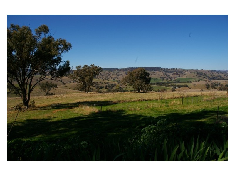 120 Wianamatta Road, Canowindra NSW 2804