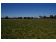 Grenfell Road, Cowra NSW 2794
