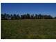 Grenfell Road, Cowra NSW 2794