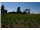 Grenfell Road, Cowra NSW 2794