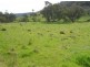 1235 Kangarooby Road, Gooloogong NSW 2805