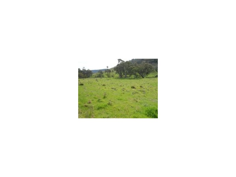 1235 Kangarooby Road, Gooloogong NSW 2805
