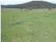 1235 Kangarooby Road, Gooloogong NSW 2805
